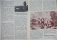 BA1_180520-1420_34