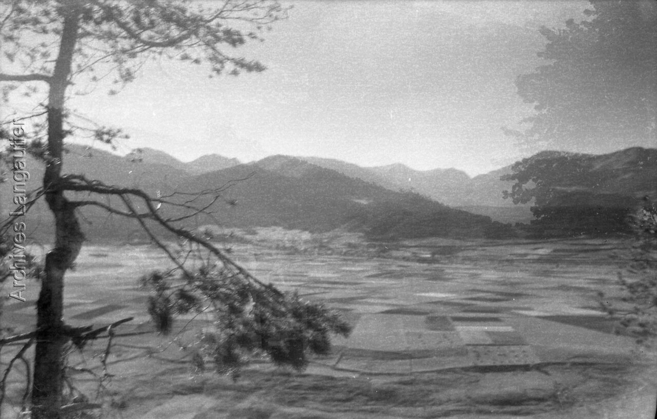 19510801_000034