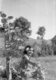 19510801_000008