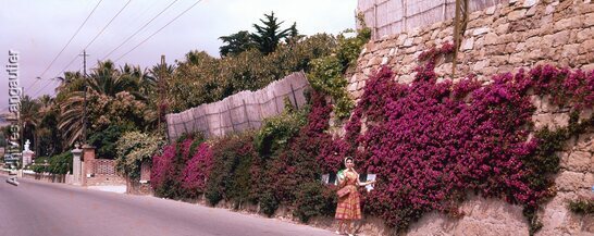 I0x_210110-2238_052