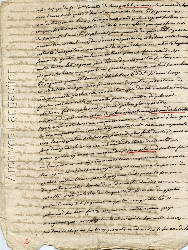 Alk_240213-2157_07