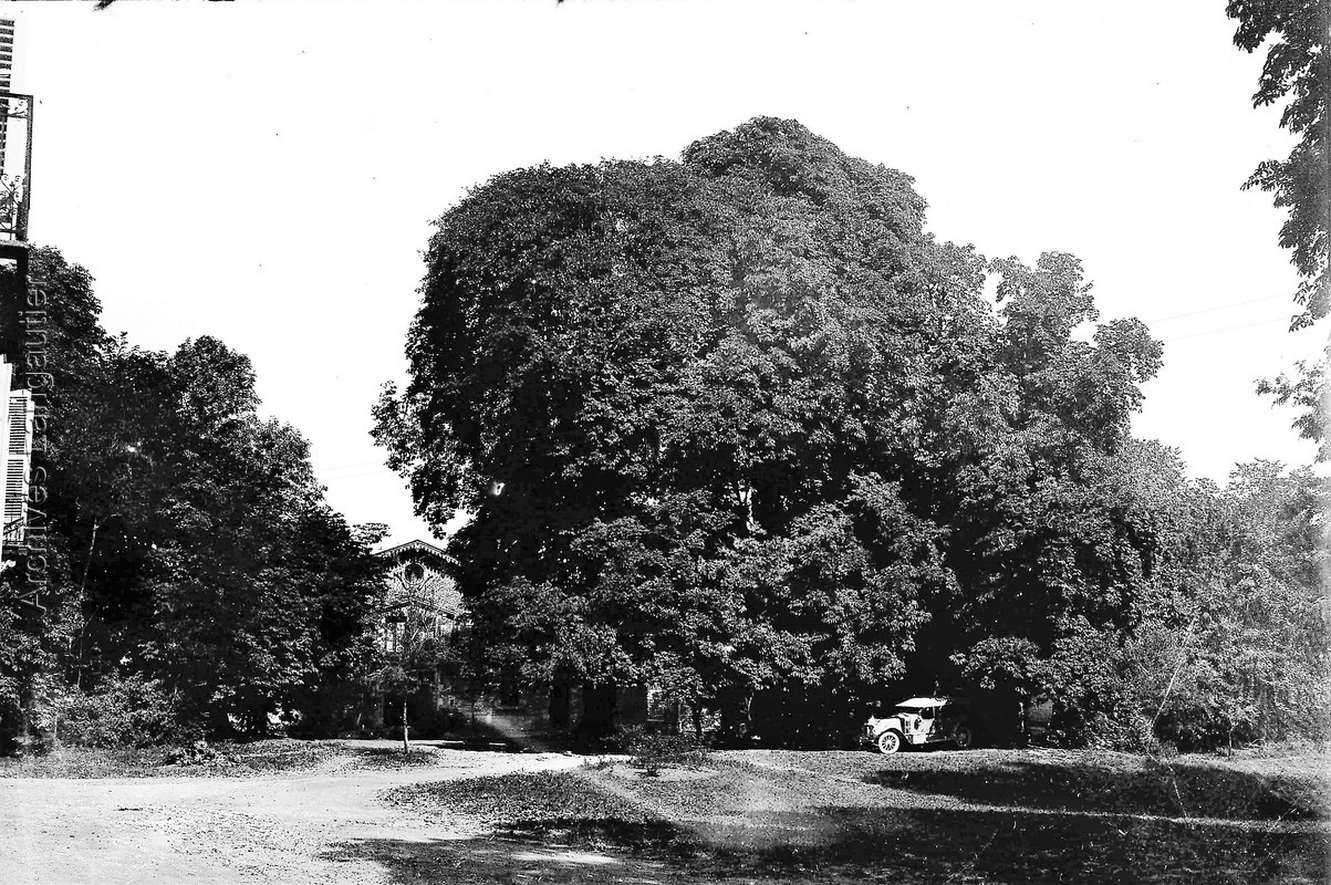 Aj15_170223-1841_088