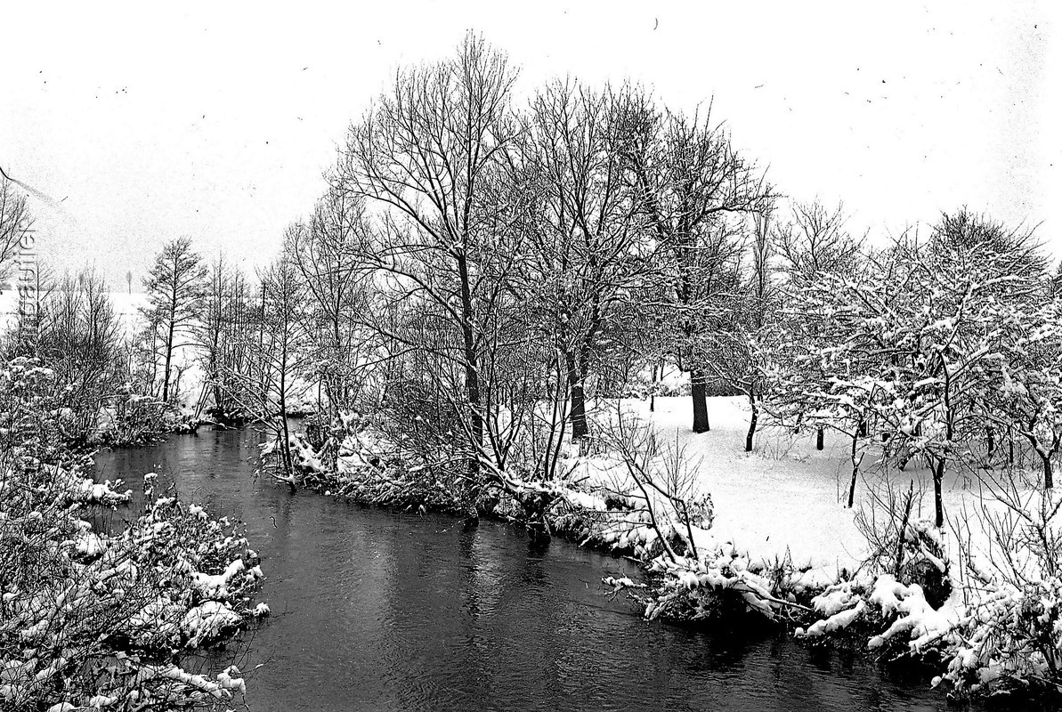 Aj17_170223-1849_0105