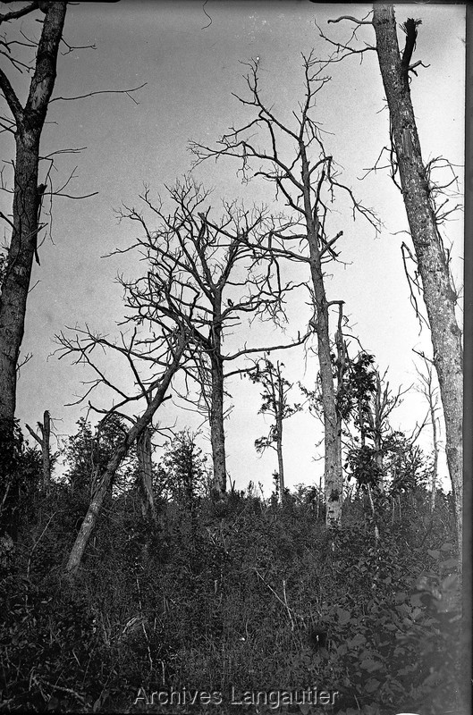 Aj17_170223-1849_013756
