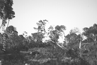ALm_180112-0941_175