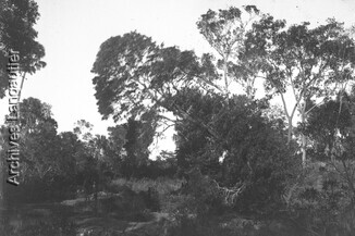 ALm_180112-0941_177