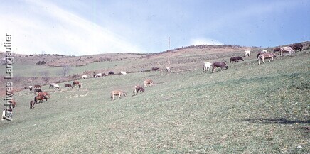 K1n_201214-1847_045