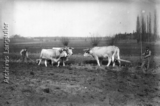Ka_170409-2215_08