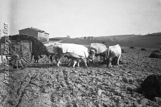 Ka_170409-2215_504