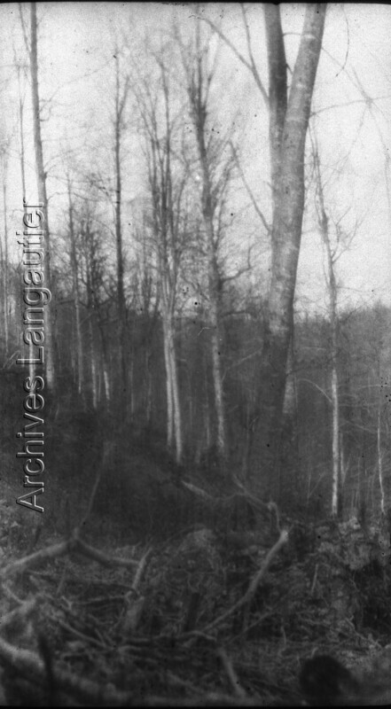 X0a_201003-2217_033