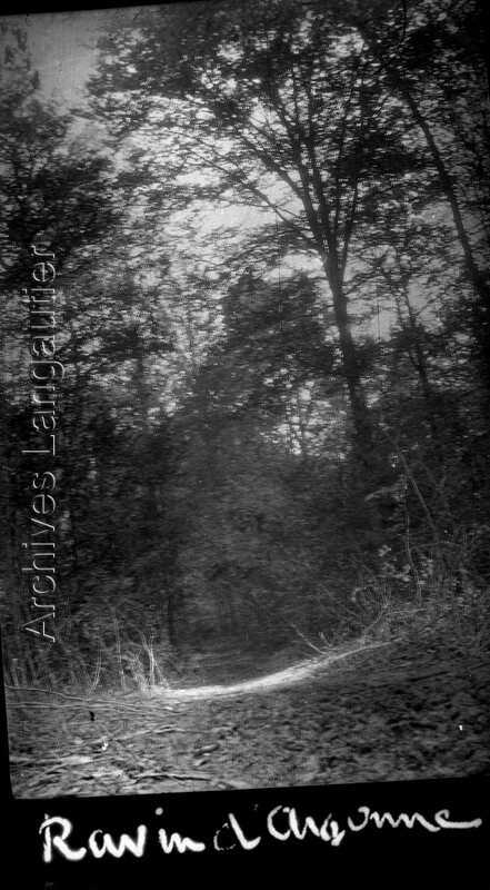 X0a_201003-2217_035